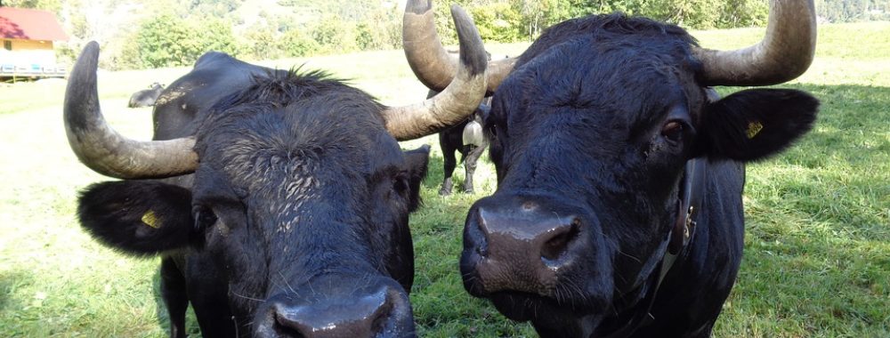 T’as où les supports ?