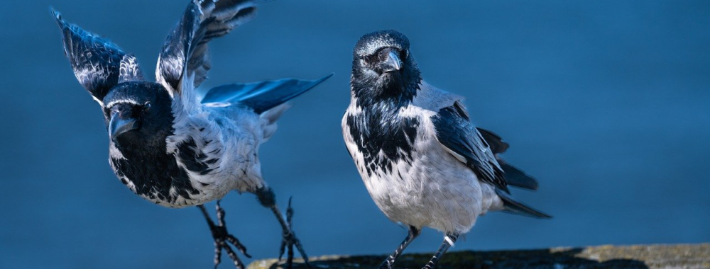 Entre inflation et récession, mon cœur balance et dans 9 jours on est en septembre