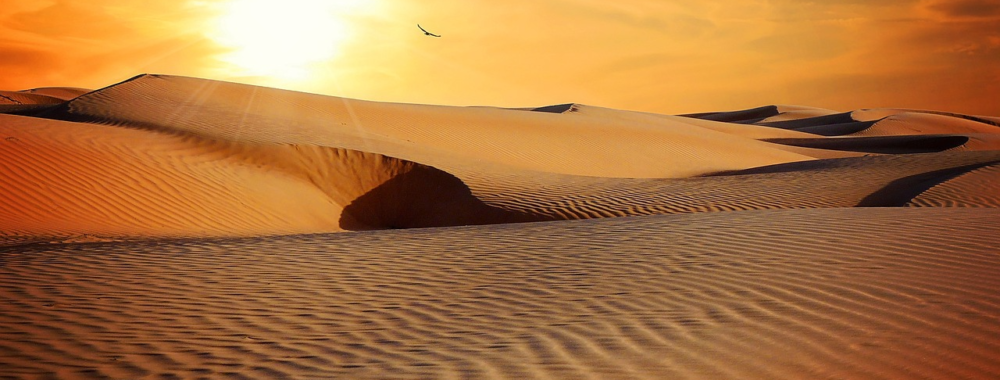 Quand t’es dans le désert, depuis trop longtemps