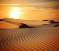 Quand t’es dans le désert, depuis trop longtemps