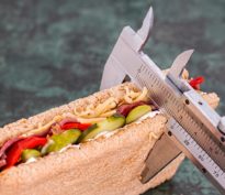 Novo Nordisk Temple du Cash ou Titanic des Médocs ?