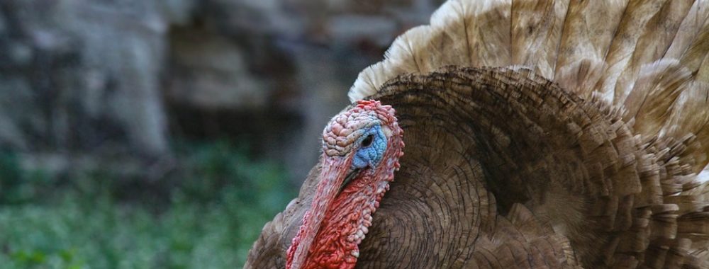 Une semaine à venir qui ne va pas servir à grand-chose