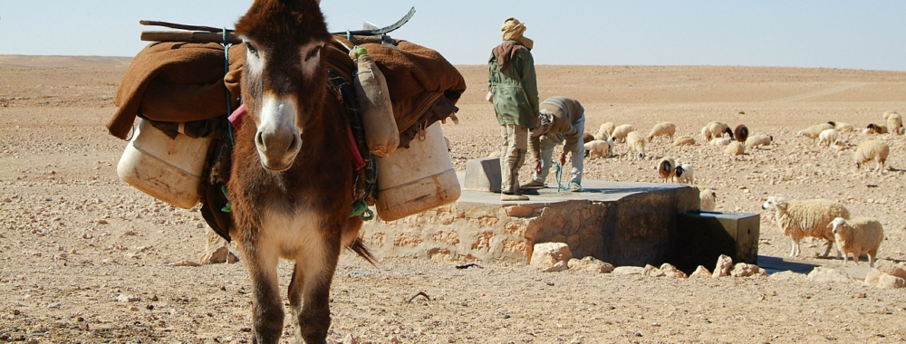 BOOMflation ou la mort de la récession ?