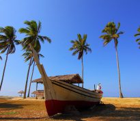 Spécial Marchés Emergents