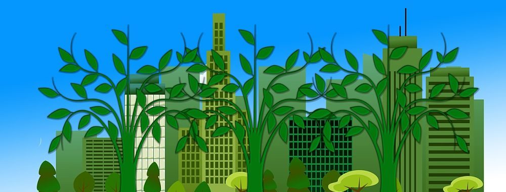 La stratégie Carbon Impact