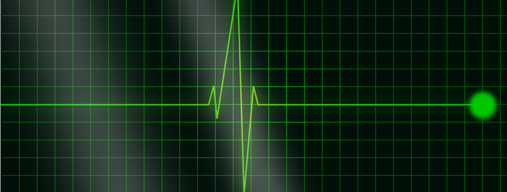 Le CŒUR de Wall Street balance entre joie et terreur