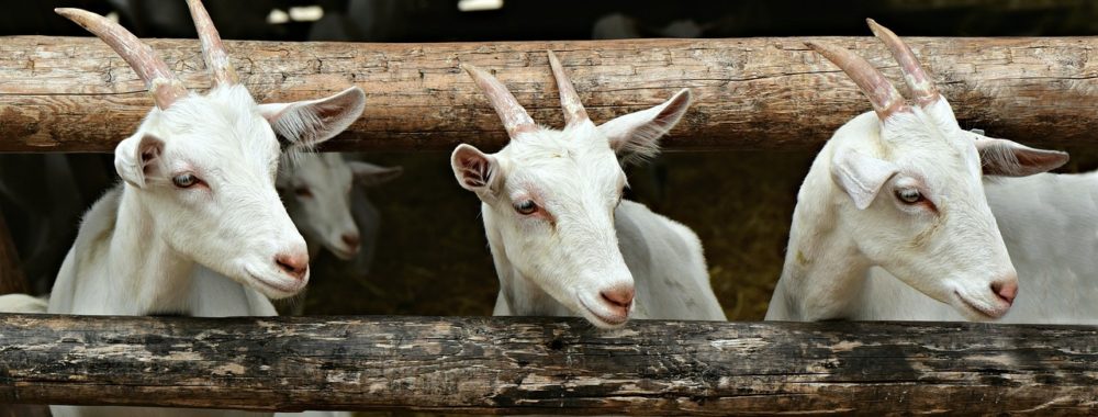 Et si on disait qu’on était vendredi et qu’on publiait les chiffres de l’emploi tout de suite ?