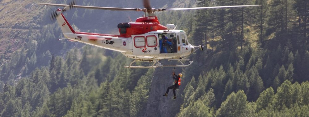 Au secours du géant vert