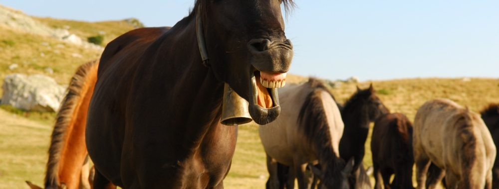 Le nouveau vocabulaire de la finance qui fait fureur