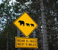 Jusque-là, ça va. Jusque-là, ça va. Jusque-là, ça va…