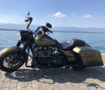 Début d’une histoire d’amour ou coup de foudre absolu ?