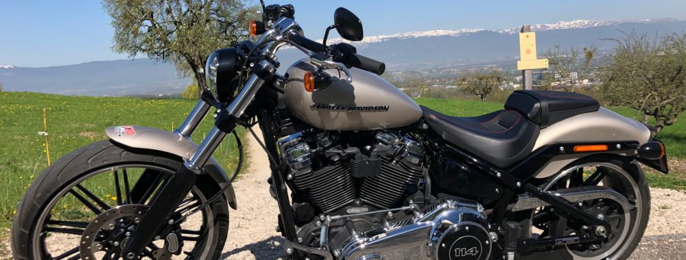 Un petit air de Californie dans le matin blême