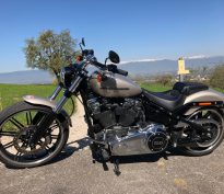 Un petit air de Californie dans le matin blême