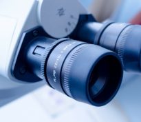 Stars & Stripes: investir dans des entreprises plutôt que dans des titres