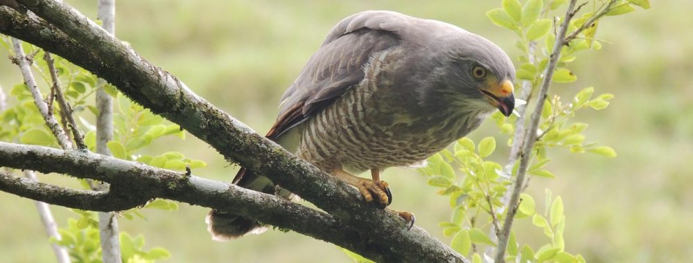 Danger zone et tarifs douaniers
