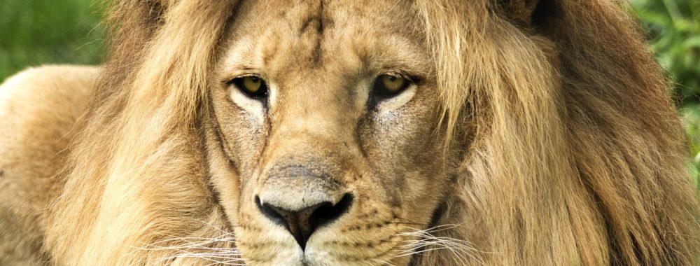 LE chiffre qui va tout changer (et puis si ça ne change rien on trouvera des trucs bien dedans)