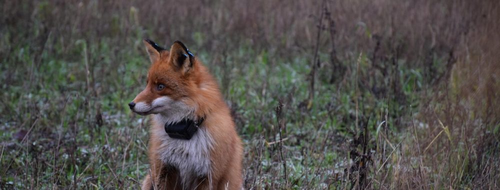 Tarifs, incertitude et confiance ; les mots qu’il vous faut pour commencer la semaine