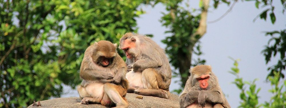 Restons concentrés en prenant soin de ne rien écouter de négatif