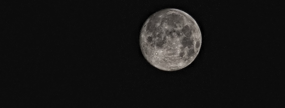 Fly me to the moon let me play among the bulls