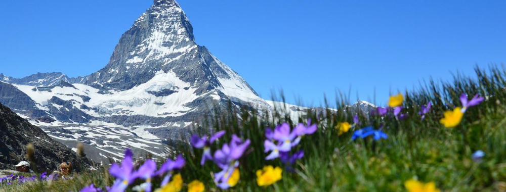 Happy Birthday Switzerland