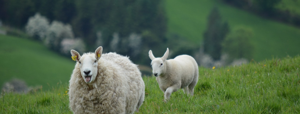 Vous avez aimé attendre les chiffres de l’emploi, vous allez adorer attendre le CPI – pour rien