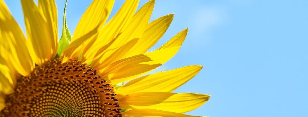 Les filtres ESG permettent de construire des portefeuilles plus robustes