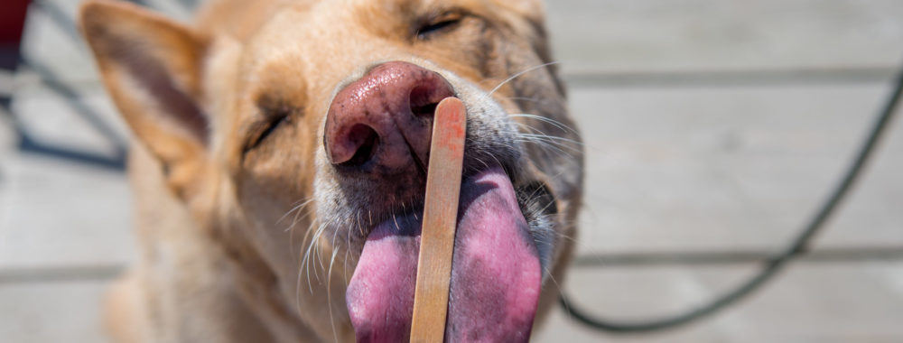 On vit une époque FEDmidable