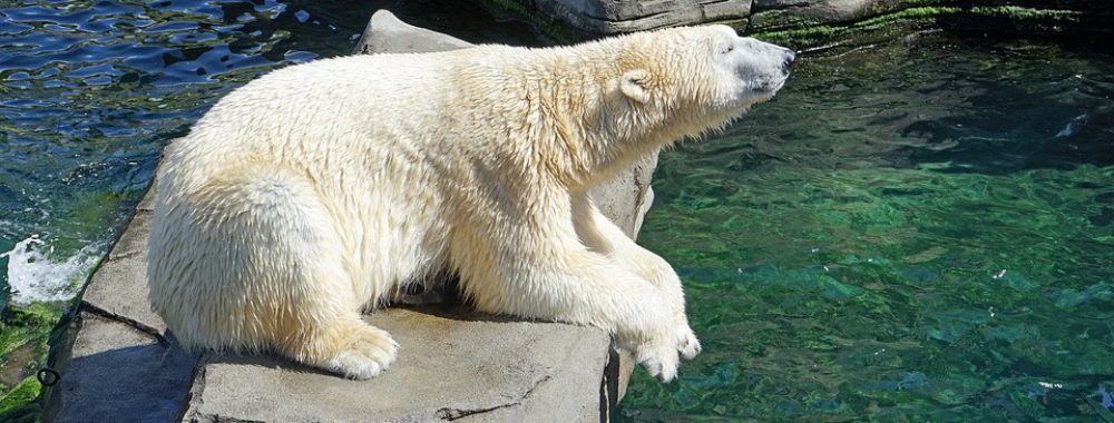 Damien essaye mp3 07 picture