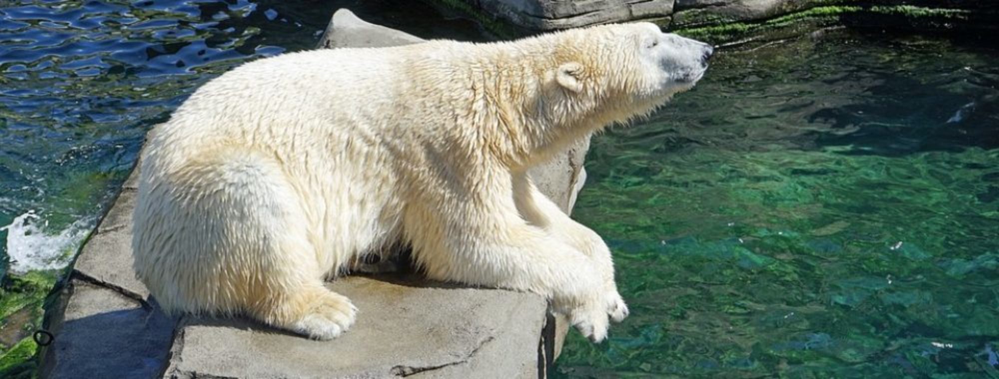 Damien essaye mp3 03 picture