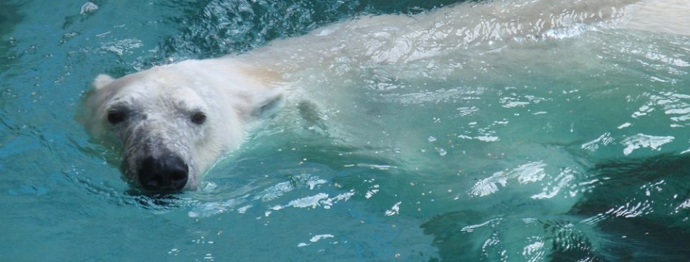 Disparition mystérieuse et sans explication