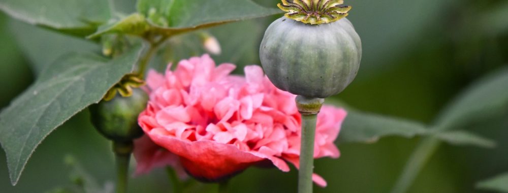 Non seulement on nous prend pour des cons, mais en plus ça commence à se voir