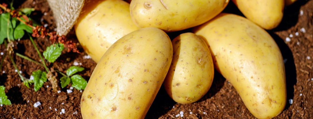 Quand ça veut pas. Ça veut pas. Tout ça pour une pomme et 60 jours