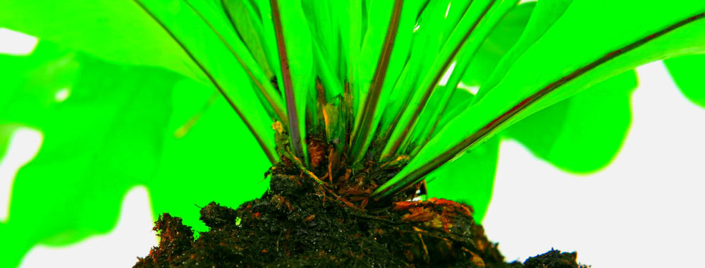 «Finance durable», oxymore ou réalité?