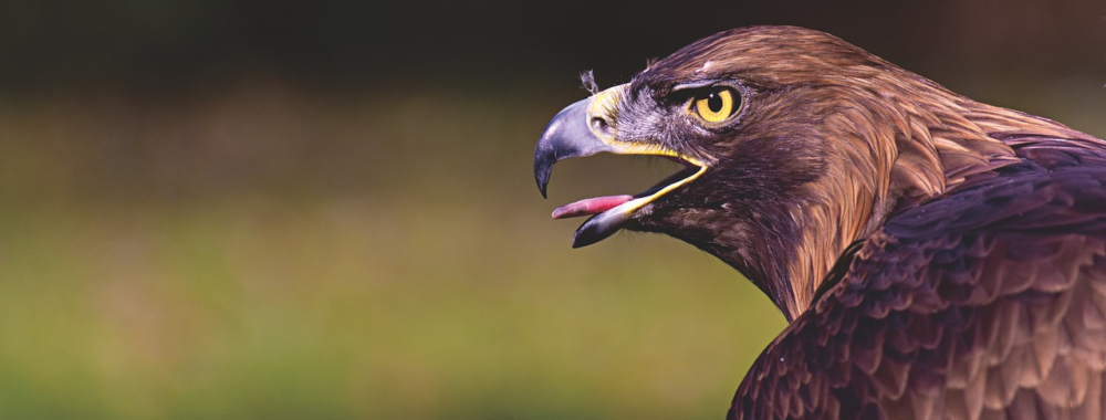 25 points qui représentent la différence entre « contrôle » et « panique »