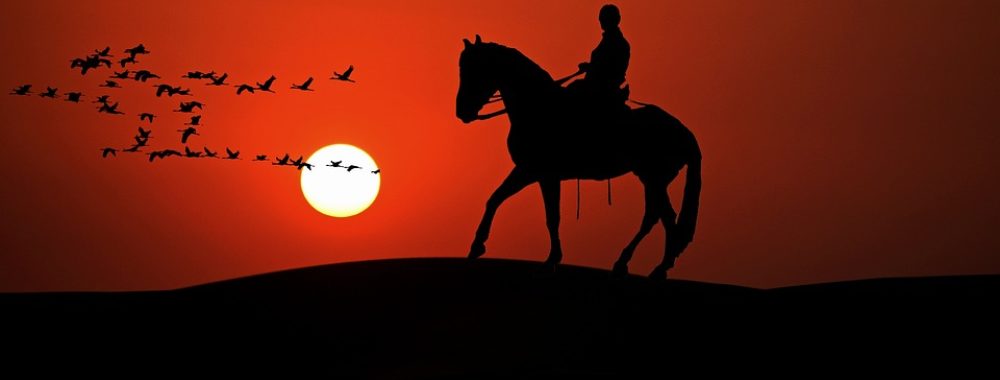 I’m a poor lonesome Moderna…ou pas