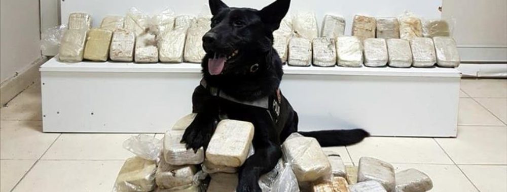 Cherche direction ou billet d’avion pour partir très loin