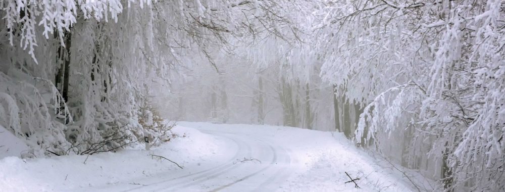 Joyeuses Fêtes de fin d’année et à l’année prochaine !