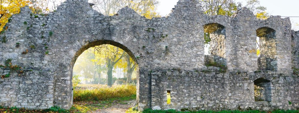 Les indestructibles marchés financiers et le « reality check »