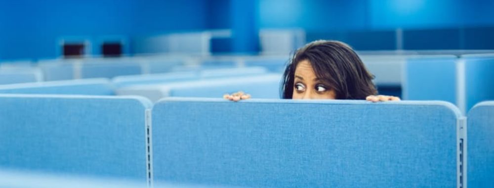 Panique or not panique ?