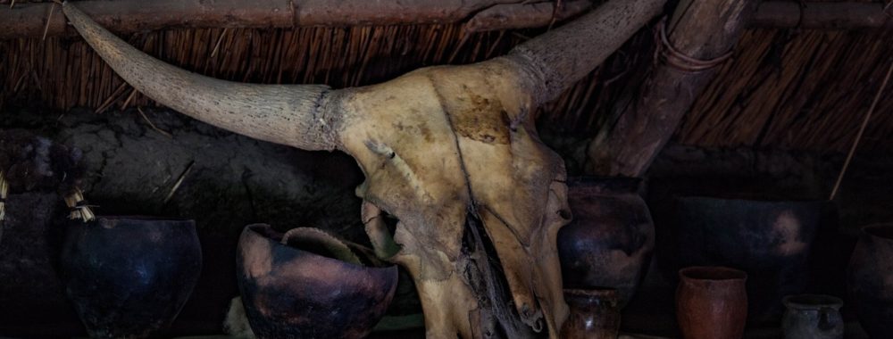 Tout est dans le rouge et les marchés broient du noir