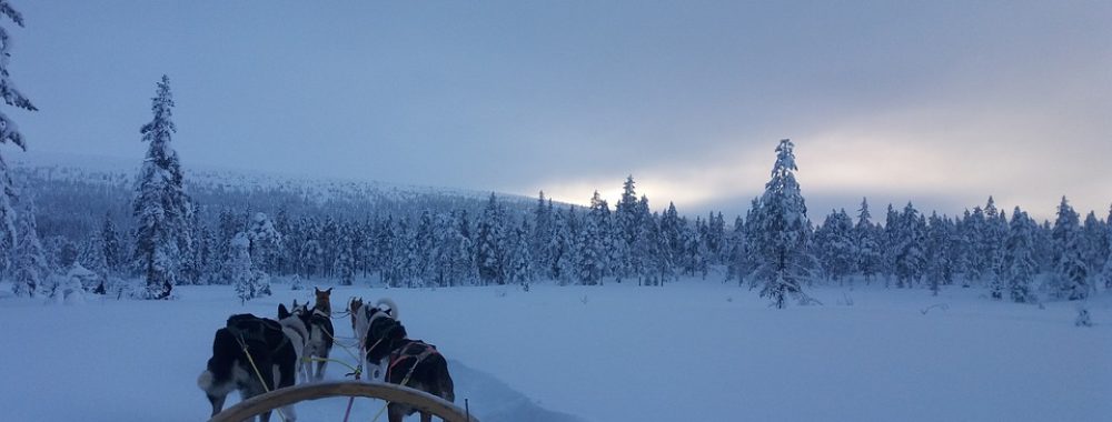 Le vaccin, le stimulus, le BREXIT et en plus c’est lundi
