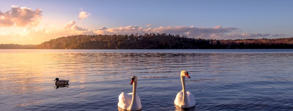 Je préfère quand c’est un peu trop plus moins calme
