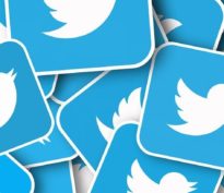 Elon Musk est le roi de la Terre