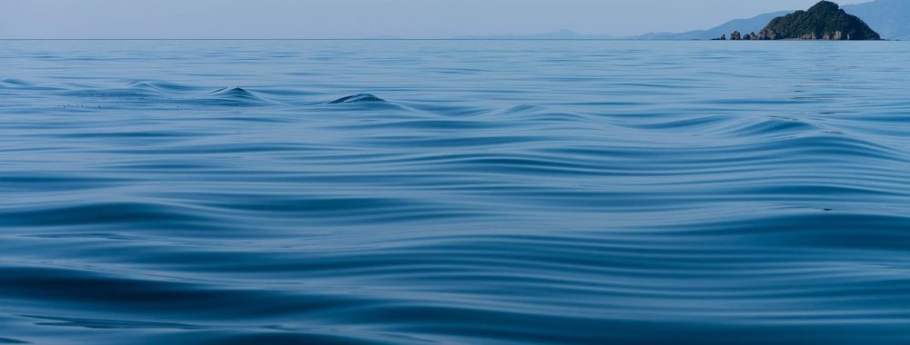 C’est trop calme, peut-être UN PEU trop calme