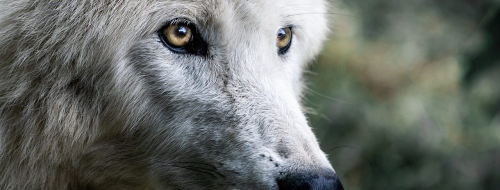 PSYCHOLOGIE et CONFIANCE en soi (réflexion du lundi matin)