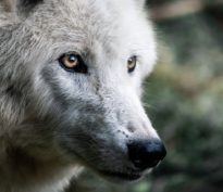 PSYCHOLOGIE et CONFIANCE en soi (réflexion du lundi matin)