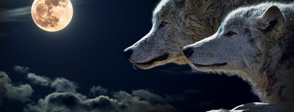 ÉVÉNEMENT GRATUIT organisé par SAMT (Swiss Association of Market Technicians )