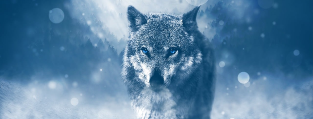 Le grand-méchant loup de la récession est parmi nous