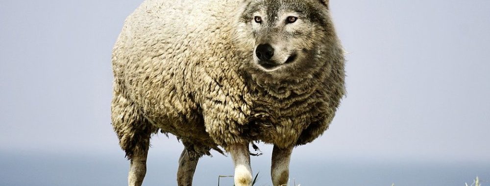 Qu’est-ce qui pourrait mal tourner ?