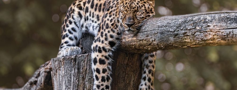 Comincio a sentire la fatiga anch’io,Buona notte!!!